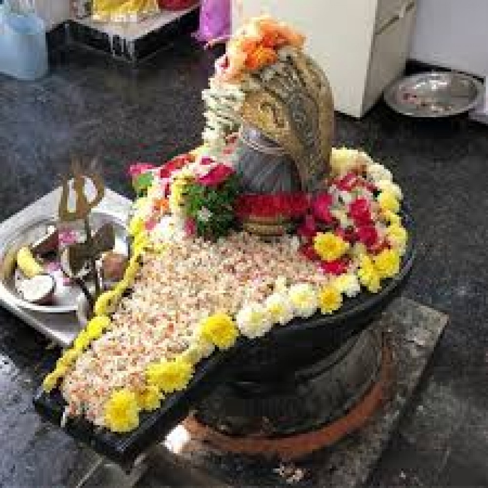 Mahashivaratri Abhishekam kit Mahashivaratri Abhishekam kit